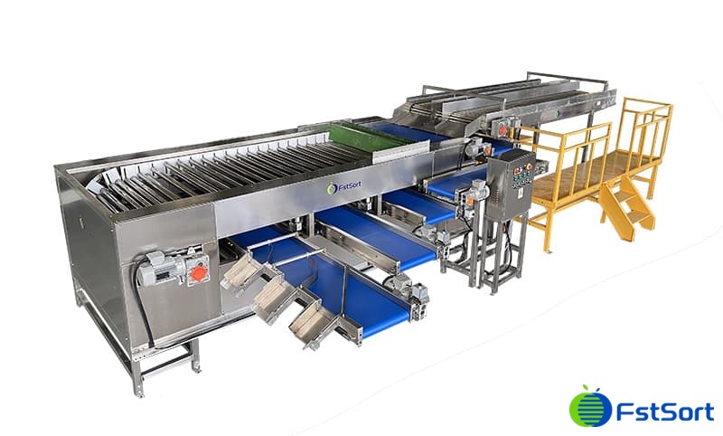 images/1750324640006litchi grader.jpg